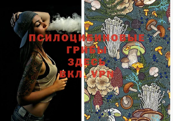 спайс Баксан