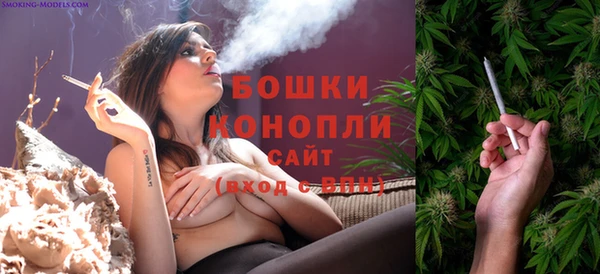 спайс Баксан
