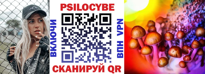 закладка  Инза  Галлюциногенные грибы мицелий 